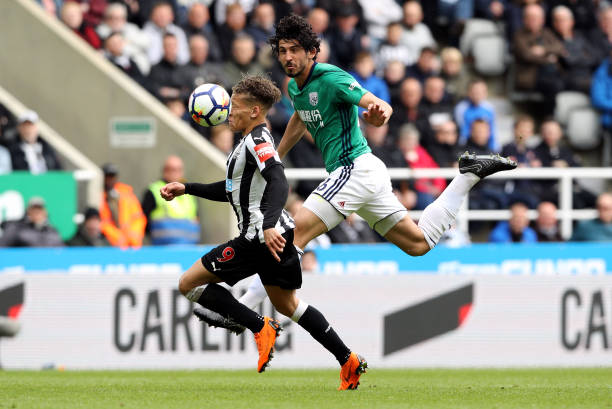 伯恩的故事 伯恩的故事