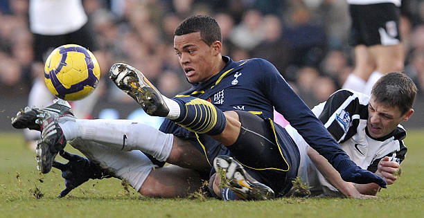 不仅鼓舞了 不仅鼓舞了