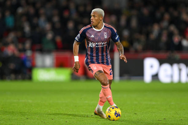 劳斯的组织 劳斯的组织