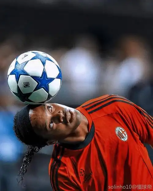 与友情的珍 与友情的珍